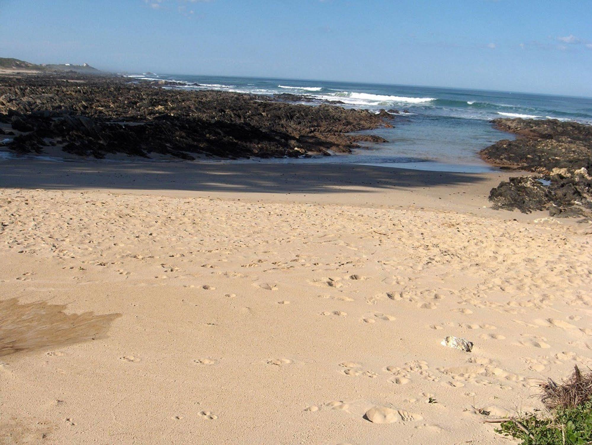 Kini Bay Sea Otters Lodge מראה חיצוני תמונה